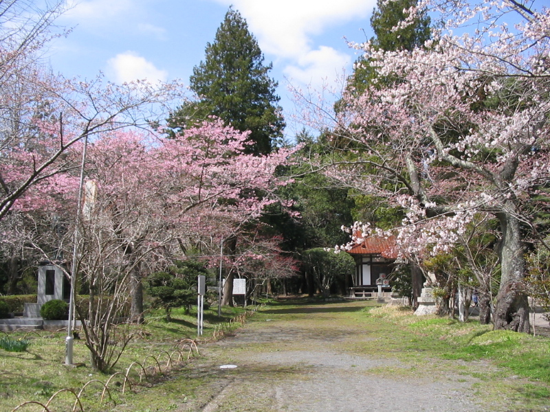 f0143119_13982.jpg
