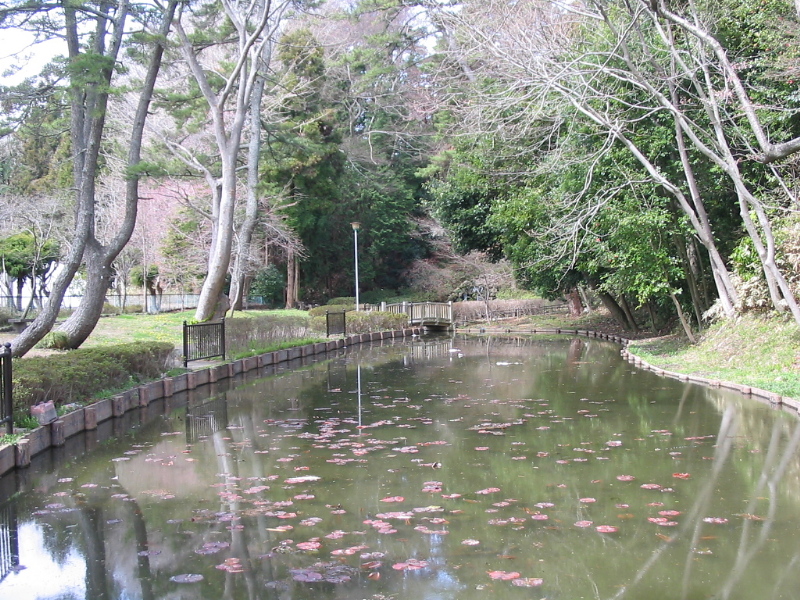f0143119_16429.jpg