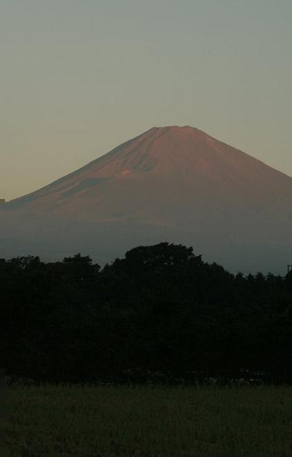 今朝の富士山_d0113821_5593119.jpg