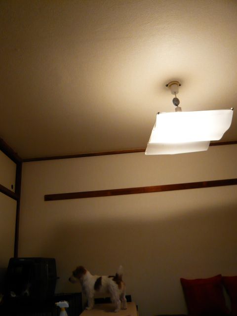 f0124526_1214025.jpg