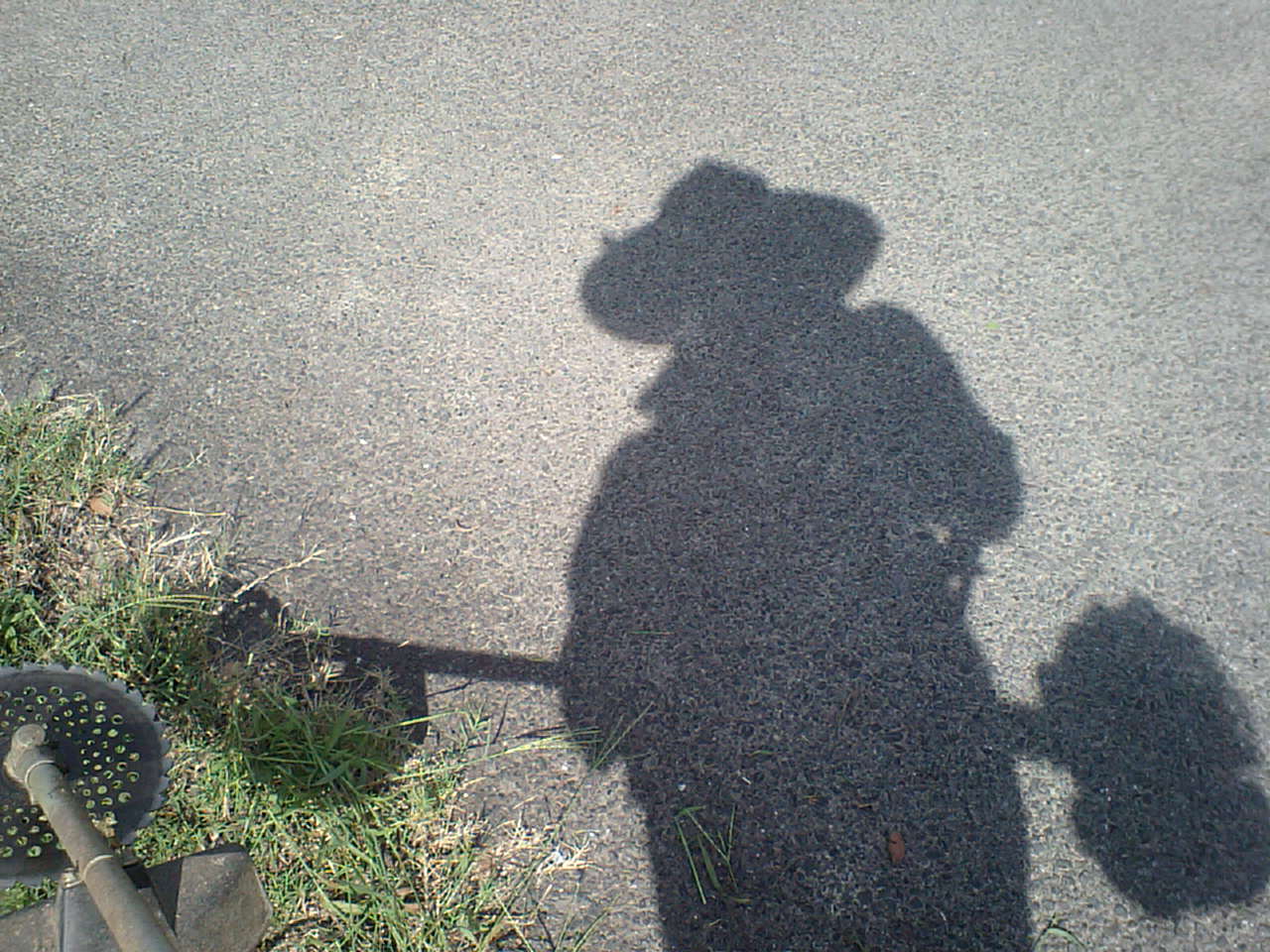 c0117028_20155469.jpg