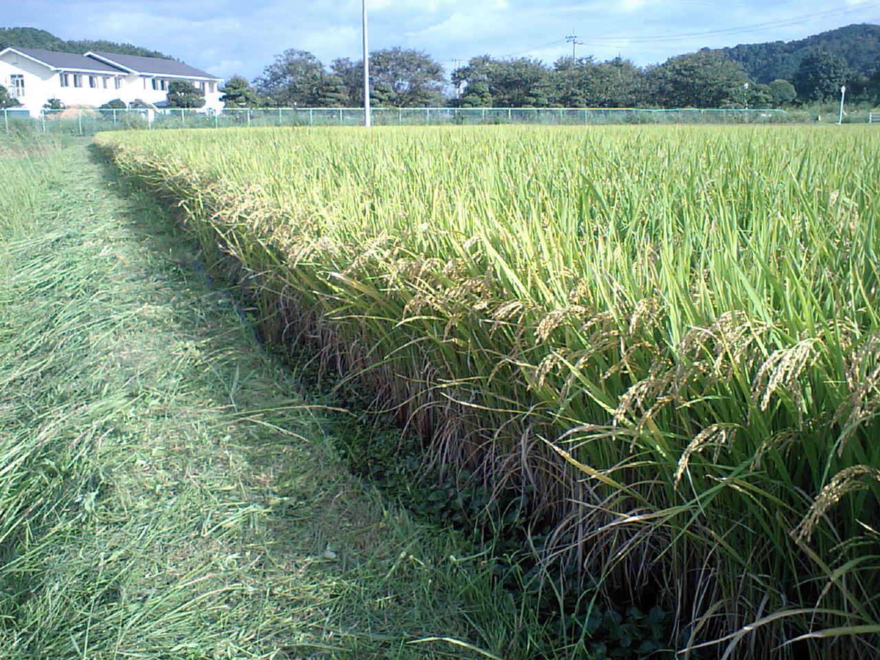 c0117028_20155596.jpg