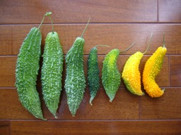 f0013029_21404725.jpg