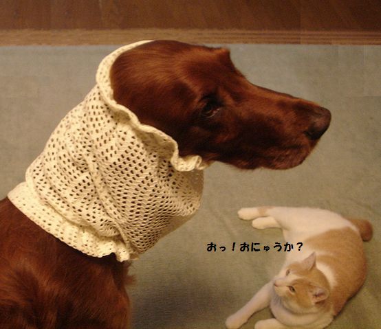 c0059331_21474276.jpg