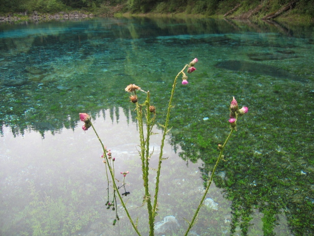 2007年8月6日　【九寨溝】_f0075537_15101169.jpg