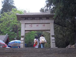 d0114242_22101776.jpg