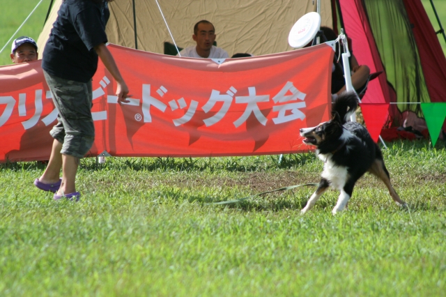 結果最悪・・・でも実り多き播磨大会_e0111449_21525510.jpg