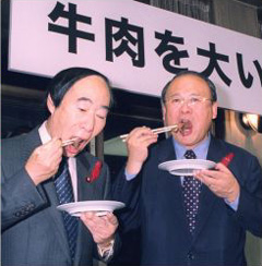 スポンジ脳症攻撃との闘い_c0139575_2320816.jpg