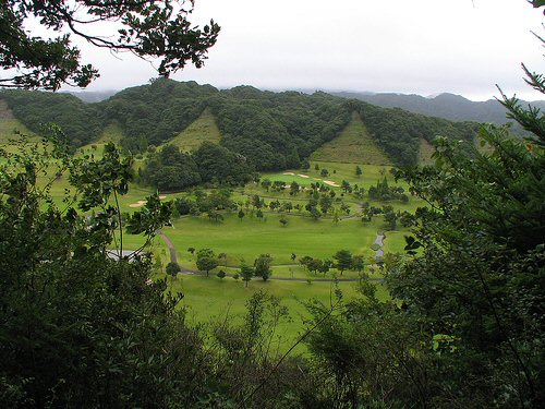 d0051179_60375.jpg