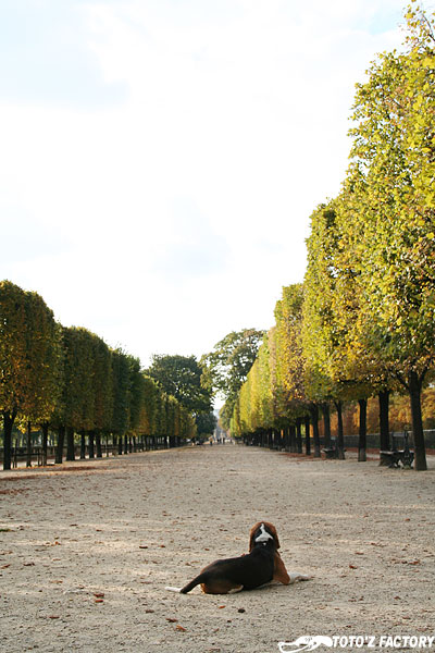 フランスへの旅 ルーブル美術館編 (9.25)_a0034287_11145363.jpg
