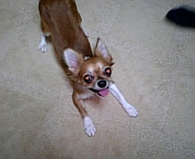 c0095091_1234976.jpg