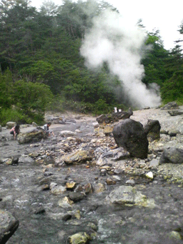e0083204_18555559.gif