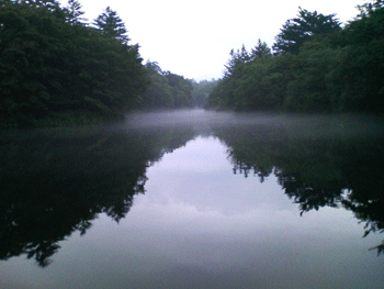 e0083204_18574947.gif