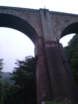 e0083204_195056.gif