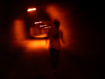 e0083204_1965332.gif