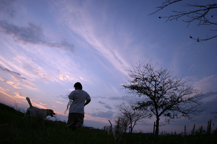 釣瓶落としの頃_c0089005_215708.jpg