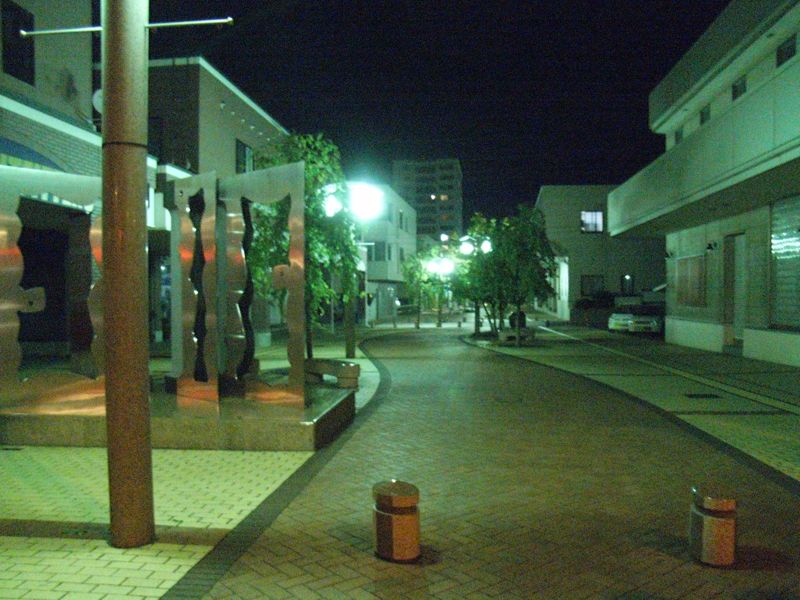 night walk_c0025115_412529.jpg