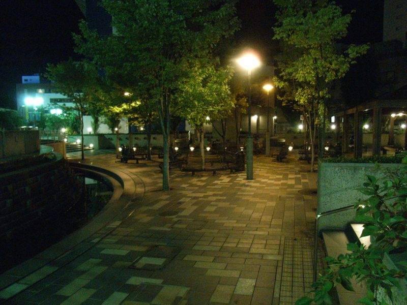 night walk_c0025115_451675.jpg