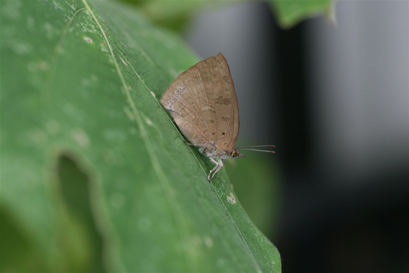 d0054625_2226262.jpg