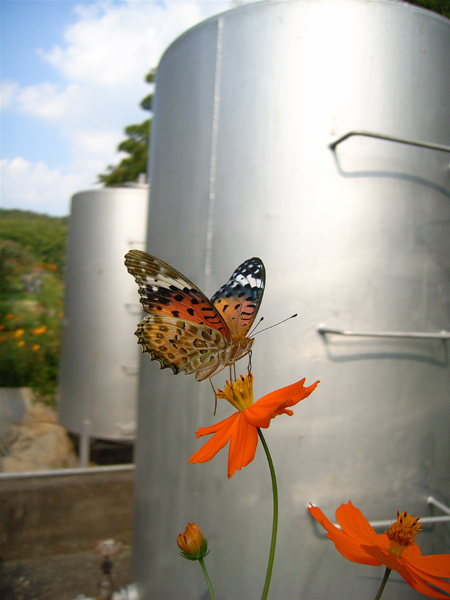 d0054625_22431931.jpg