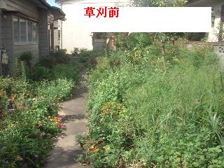 f0031037_13494123.jpg