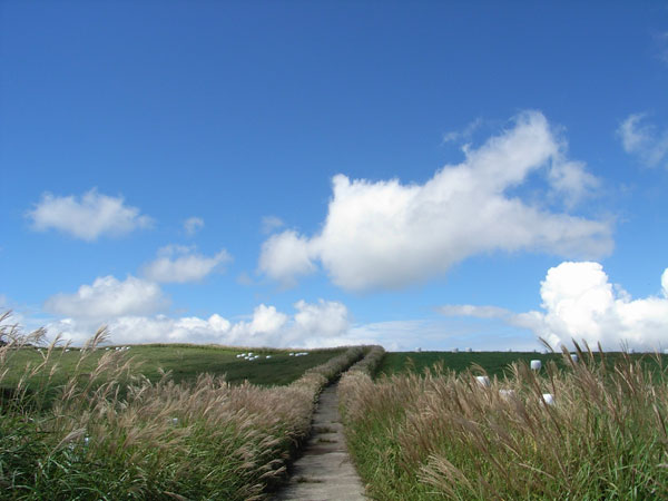 c0047341_19171382.jpg