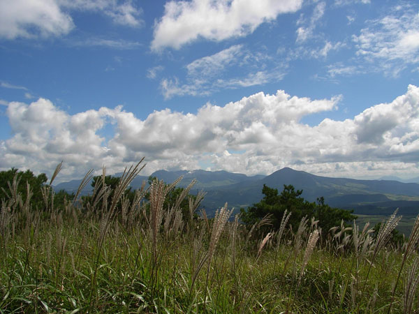 c0047341_19173420.jpg
