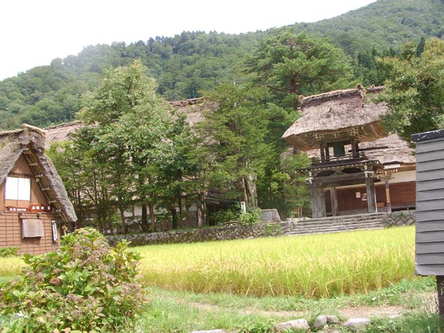 f0121244_1462879.jpg