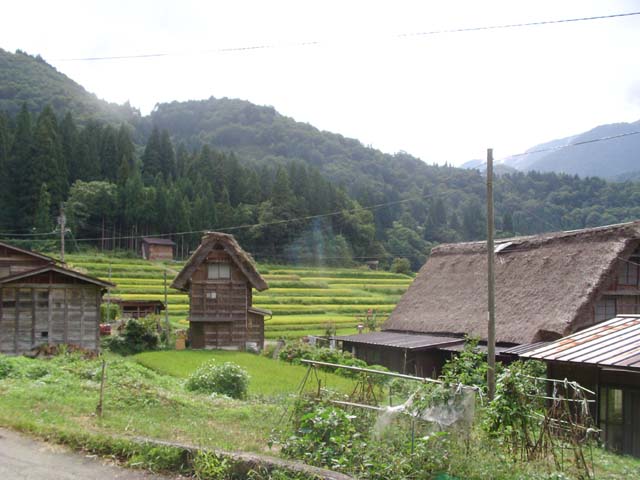 f0121244_153244.jpg