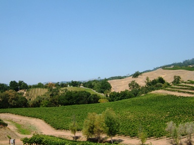 c0078451_10432326.jpg