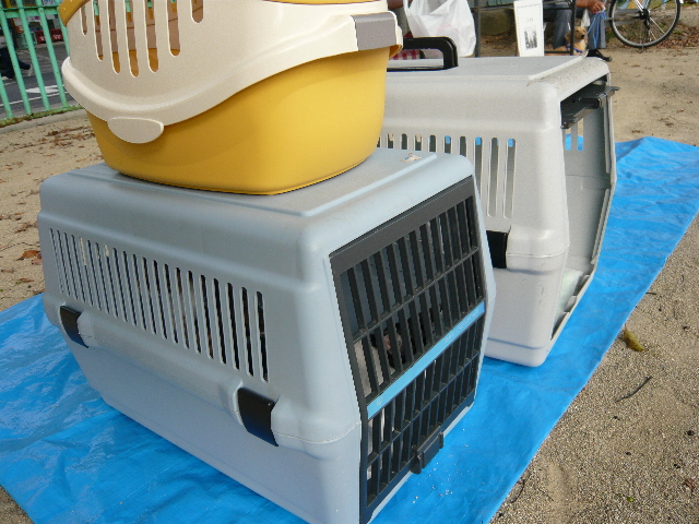 長崎はっぴーあにまる主催 第1回譲渡会 こんなことあったのさ