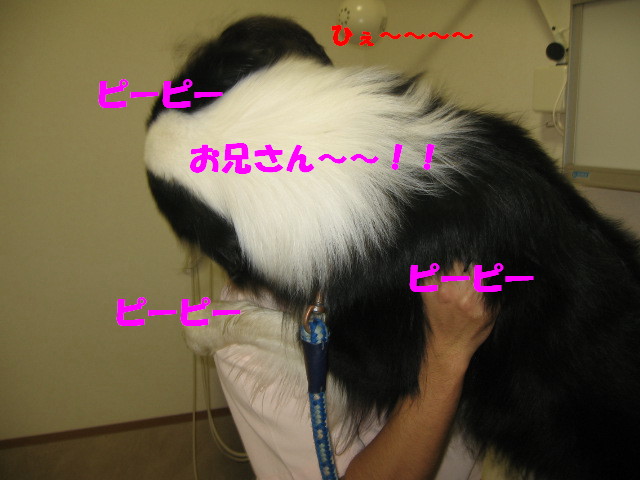 e0117976_2023952.jpg