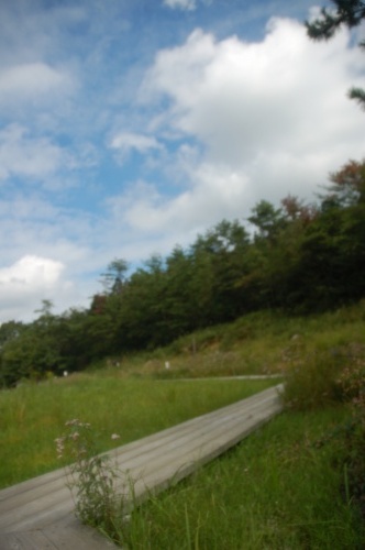 d0063278_0243998.jpg