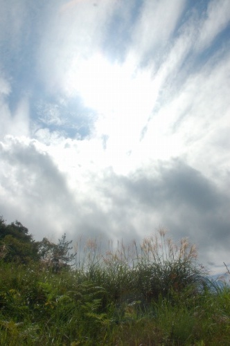d0063278_0245226.jpg