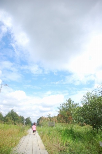 d0063278_0251499.jpg