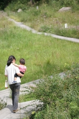 d0063278_1453598.jpg