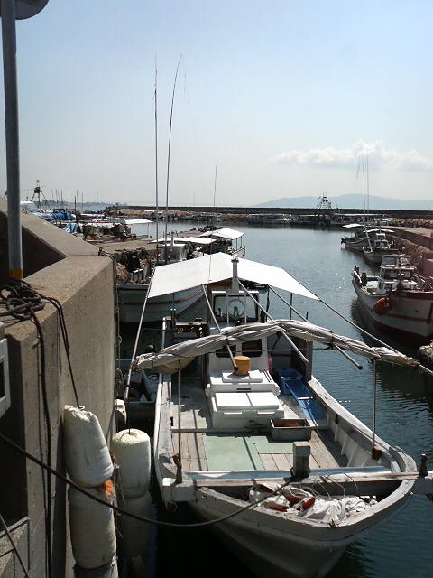 e0024081_13801.jpg