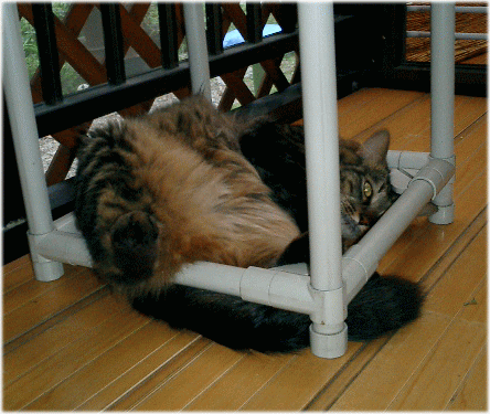 c0088584_14295826.gif