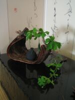 藍と樹皮の二人展 宇佐美玲子・今中廣明_a0088892_12295044.jpg