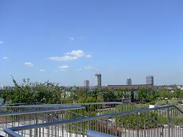 d0030693_1714736.jpg