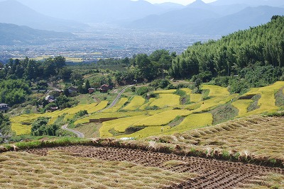 黒斑山そして、秋 収穫の季節_c0124100_16395942.jpg