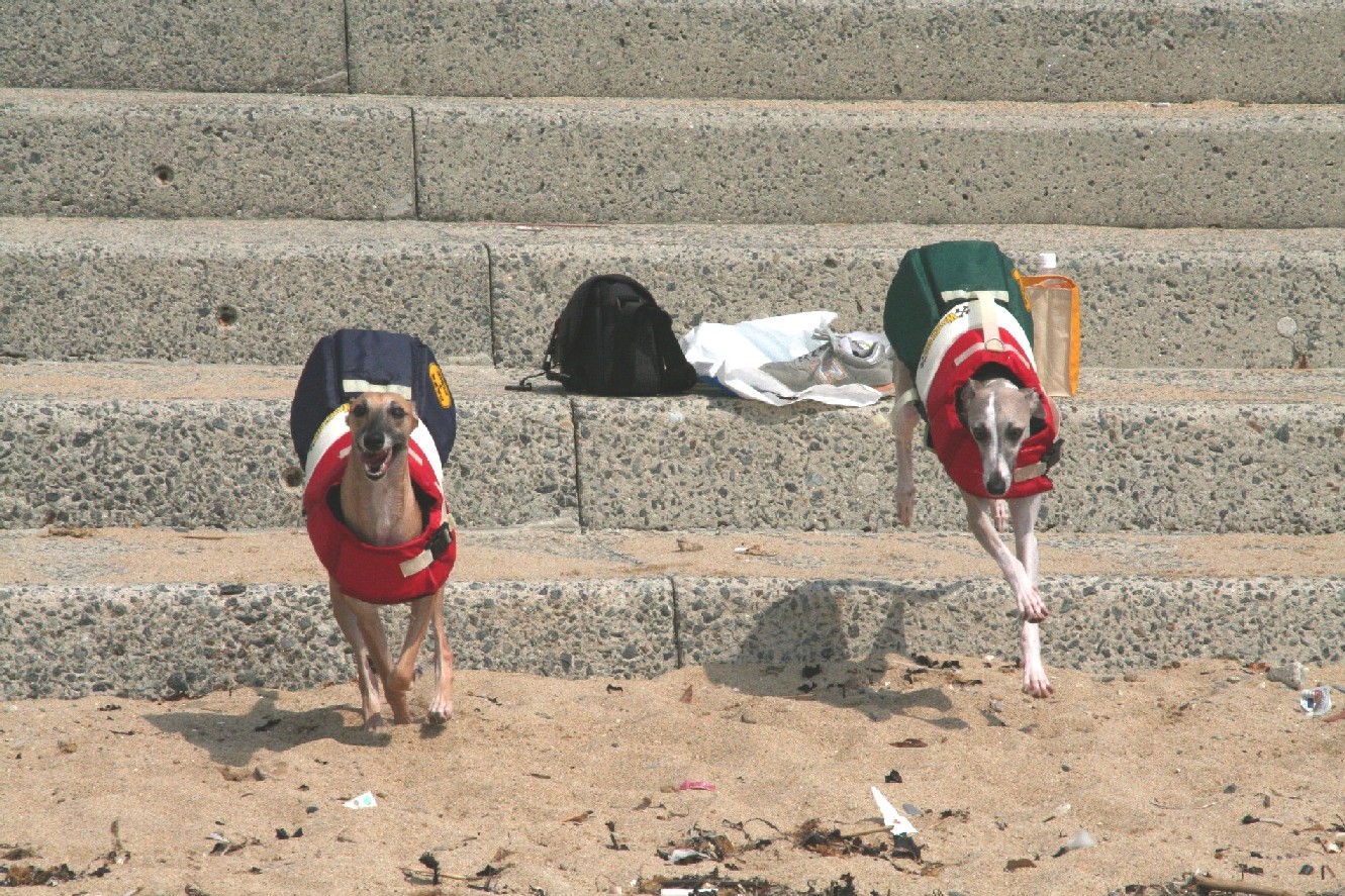 淡路島旅行（６）　おまけ１_b0118209_11443788.jpg