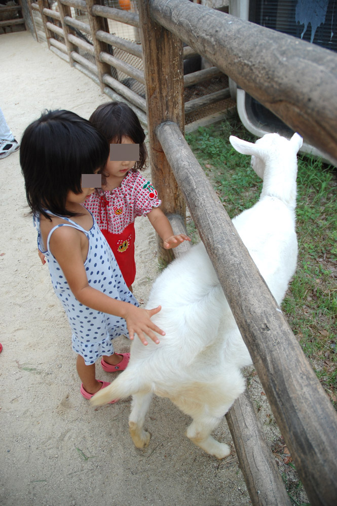 9/23 プリキュアショーと東山動植物園_b0098910_22193888.jpg