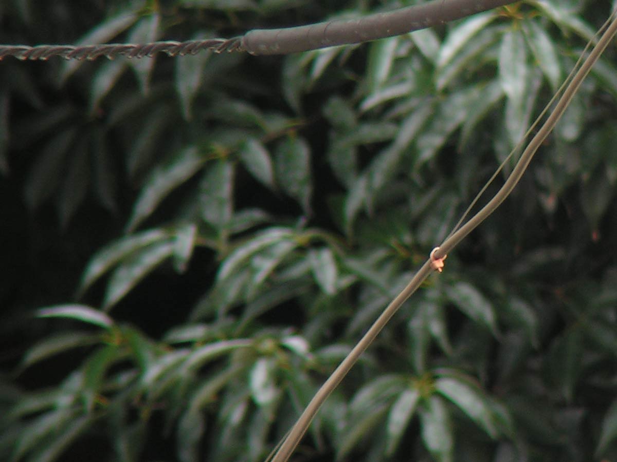 c0001613_21125057.jpg