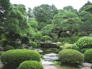 e0080117_200253.gif