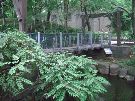 d0065324_2229545.jpg