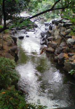 d0065324_22315571.jpg