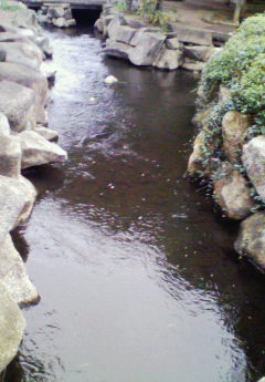 d0065324_22382187.jpg