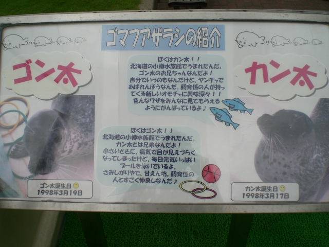 f0009238_23461197.jpg