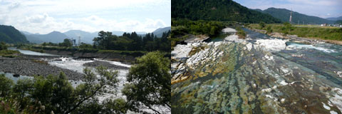 a0083760_8483211.jpg